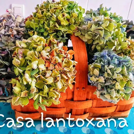 Casa Lantoxana Daire